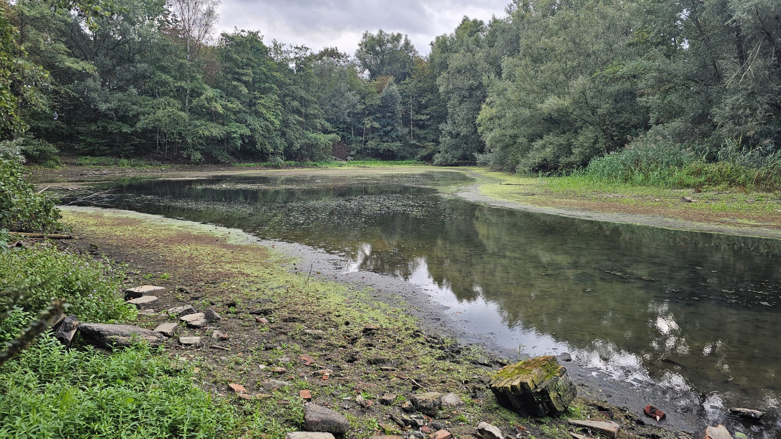 Grote plas in de Hobokense Polder