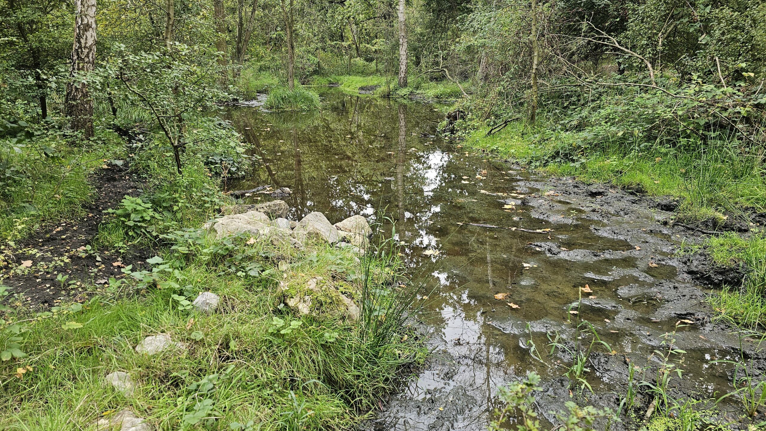 Natuurpad in de Hobokense Polder