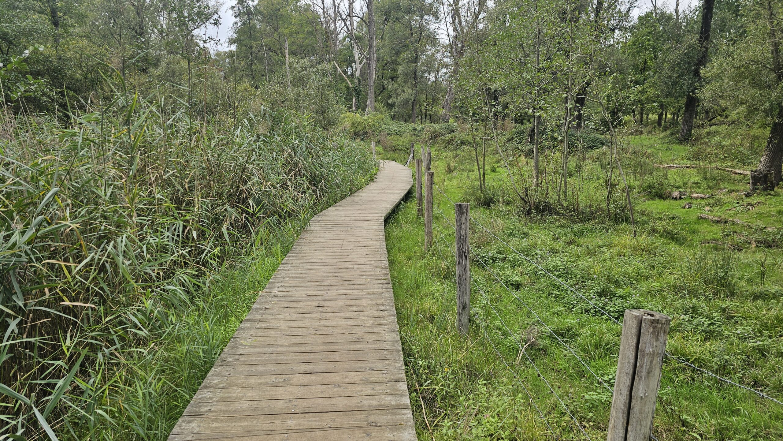 Hobokense Polder